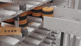 �Զ����⣬�Զ�����