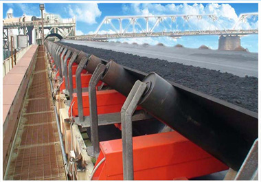 Array type high precision belt scale