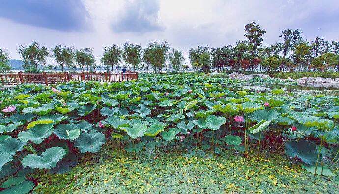 BG�����й���½������Ϳ������